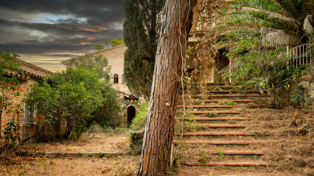 the ascent of the steps