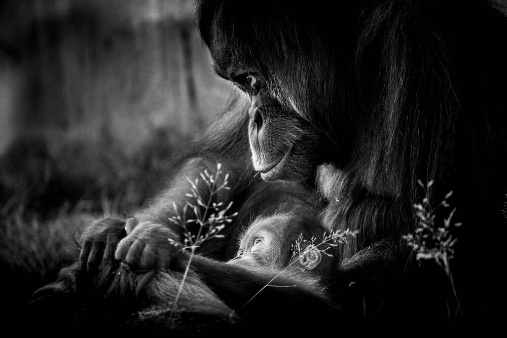 een moment van tederheid