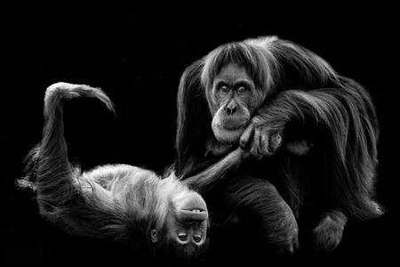 the world upside down the world upside down