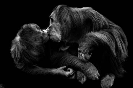 A big kiss A big kiss