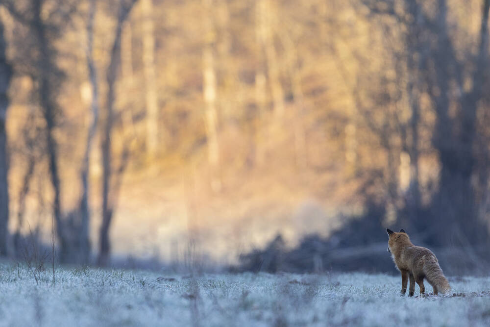 L'aube d'un nouveau jour