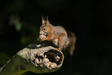 Wacht even Wacht even