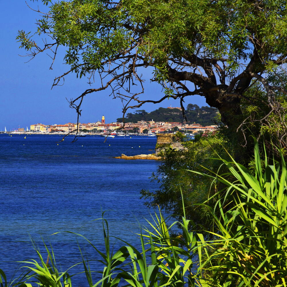 sommerlandschaft die stadt saint-tropez