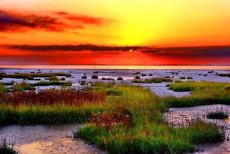 Sonnenuntergang über dem Meer