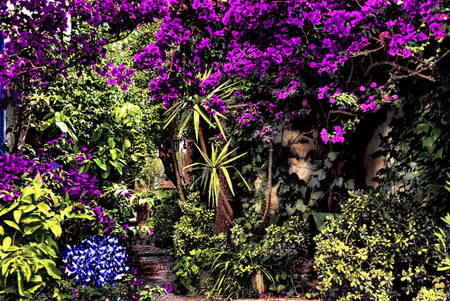 Jardin de la Côte d'Azur in Saint Tropez