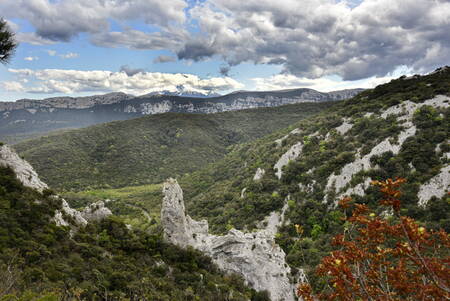 De Pyreneeën De Canigou De orgels