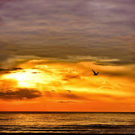 Sunrise by the sea in Occitanie Sunrise by the sea in Occitanie