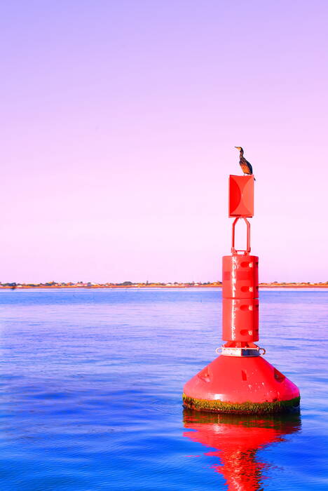 op open zee de vogel op een baken