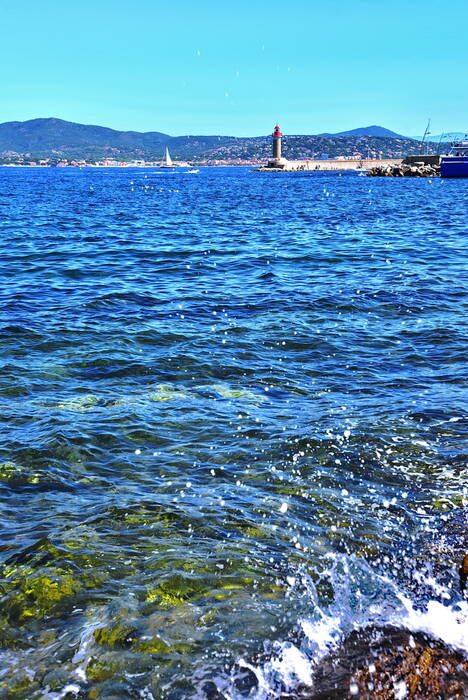 Le port de Saint Tropez Le port de Saint Tropez