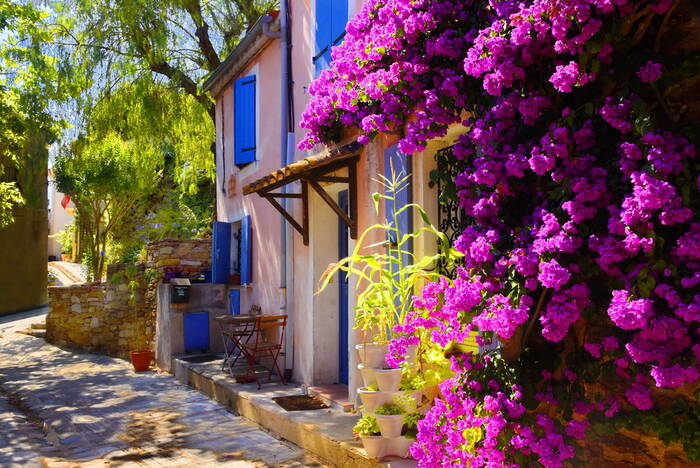 Le vieux village de Grimaud Le vieux village de Grimaud