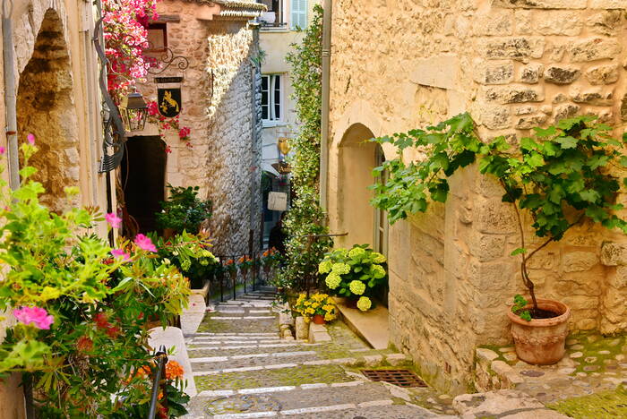 Ruelle fleurie de Saint- Paul-De-Vence Ruelle fleurie de Saint- Paul-De-Vence