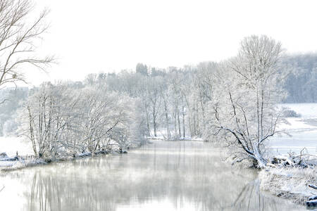 De Semois op Florenville