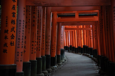 Fushimi Inari Taisha