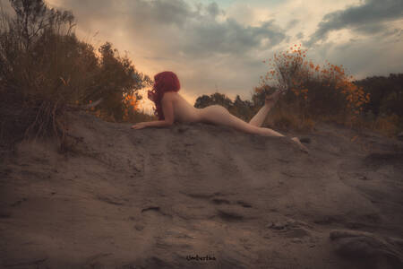 - Ailleurs - - Ailleurs -