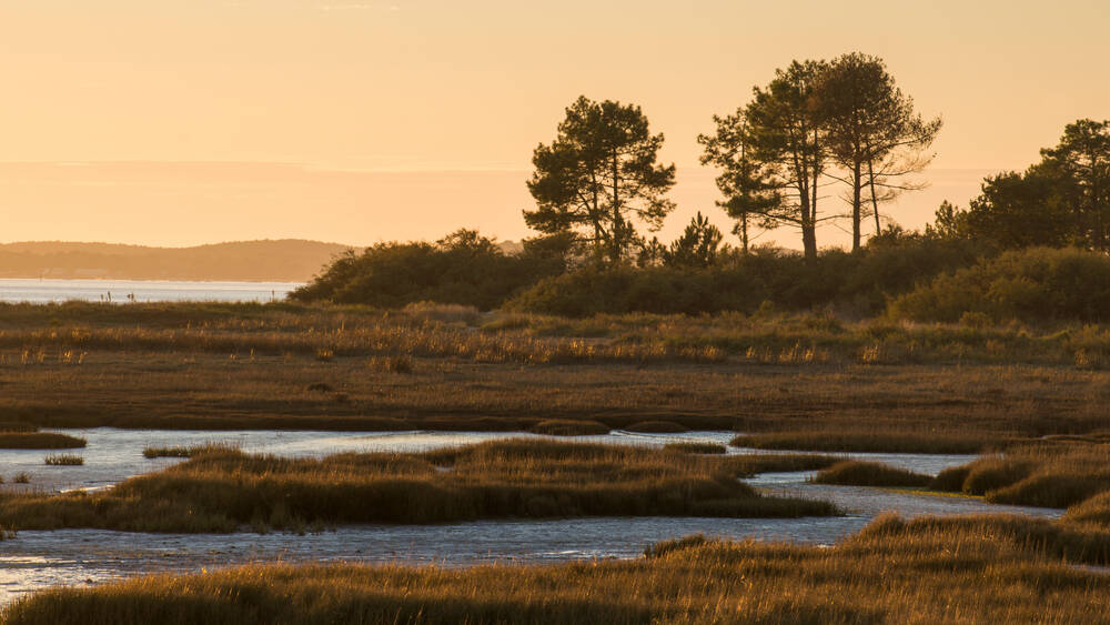 Paysage du soir au Bassin d'Arcachon - Photo et Tableau - Editions