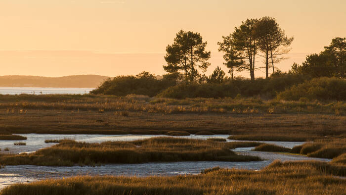 アンドレ・ロート、「Paysage du Bassin d'Arcachon」 アンドレ・ロート、「Paysage du Bassin d'Arcachon」 Le