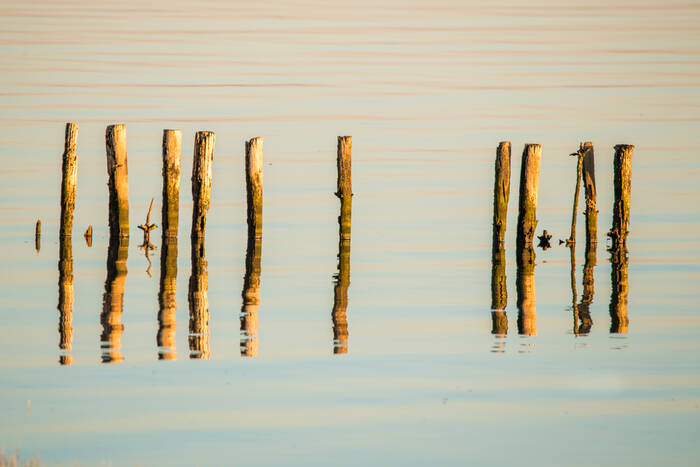 Piquets du bassin Piquets du bassin