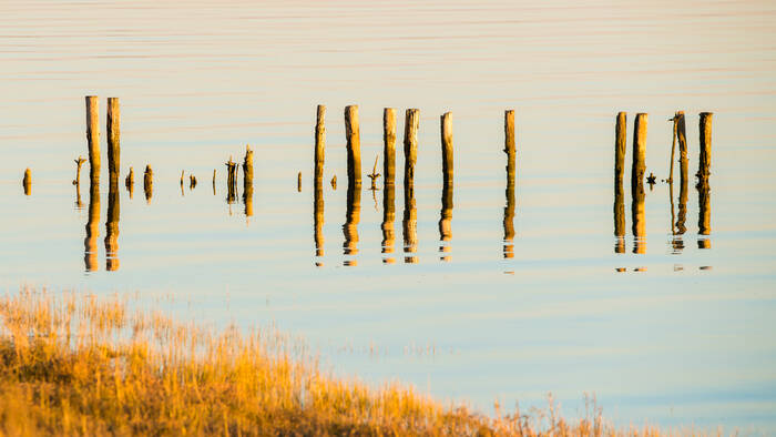 Piquets en bois du bassin Piquets en bois du bassin