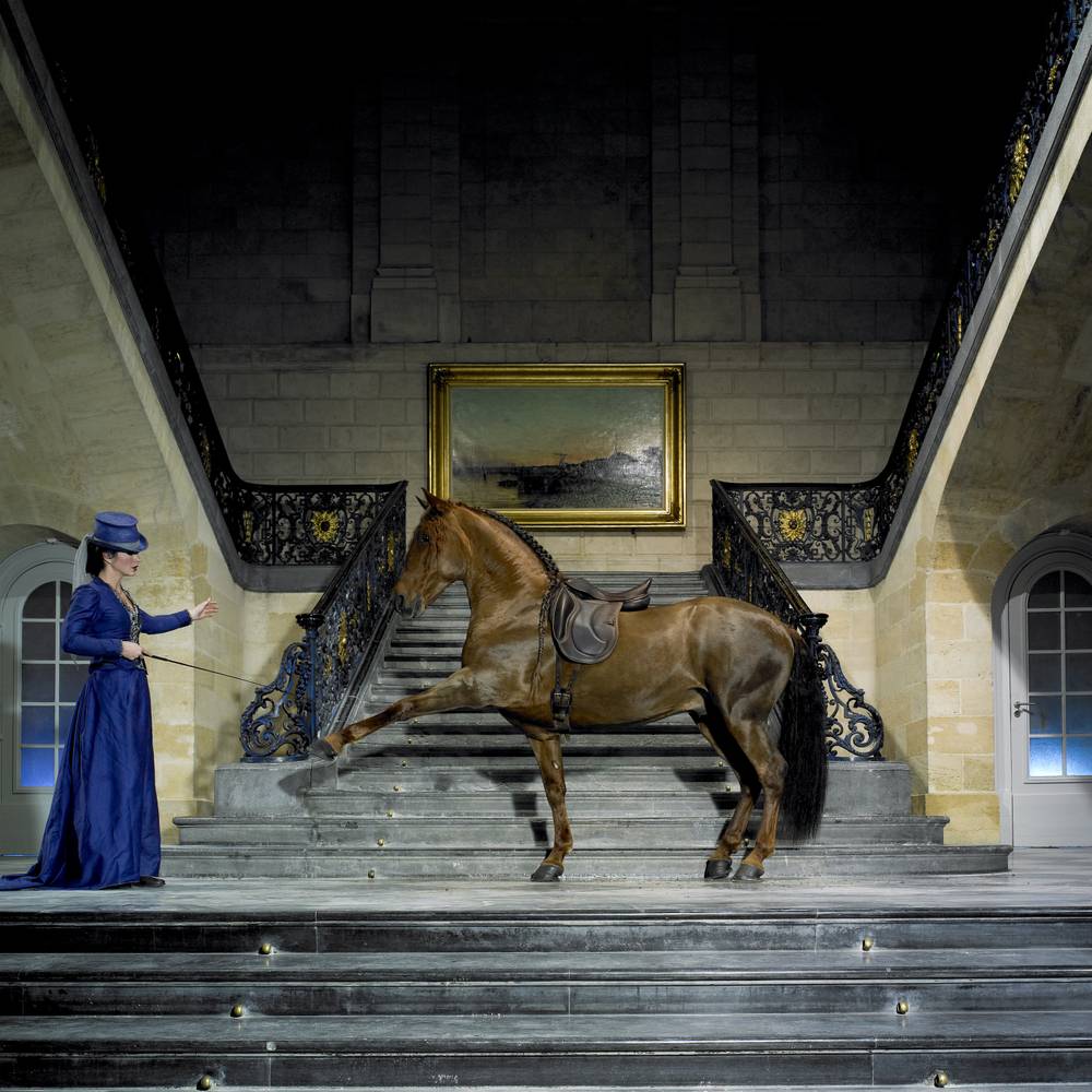 theobald Fotograf Fotokonst