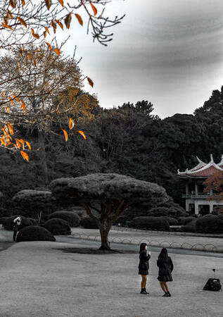 Giocare sull'erba Giocare sull'erba