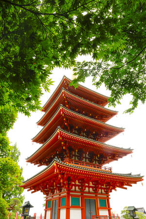 TEMPLET DES HORTENSIAS TEMPLET DES HORTENSIAS