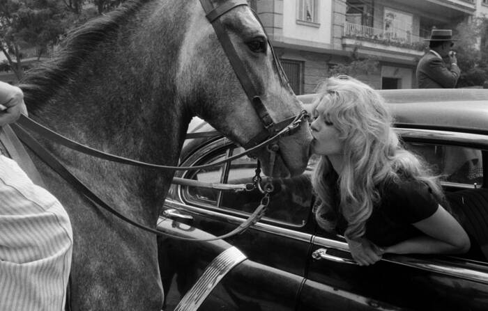 Brigitte Bardot met paard in Sevilla (1958) Brigitte Bardot met paard in Sevilla (1958)