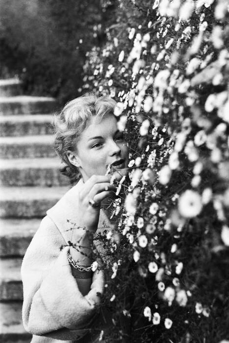 Romy Schneider al Festival di Cannes 1957 - Una bellezza senza tempo Romy Schneider al Festival di Cannes 1957 - Una bellezza senza tempo