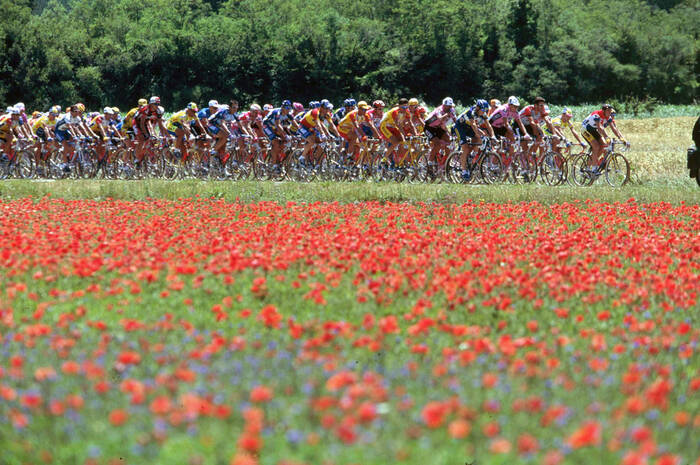 Une trajectoire fleurie Une trajectoire fleurie