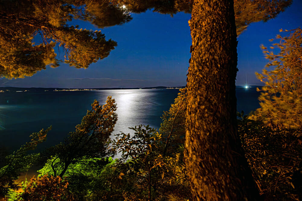 The Dalmatian coast in Croatia