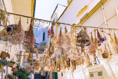 Hemliga stigar i Puglia Hemliga stigar i Puglia