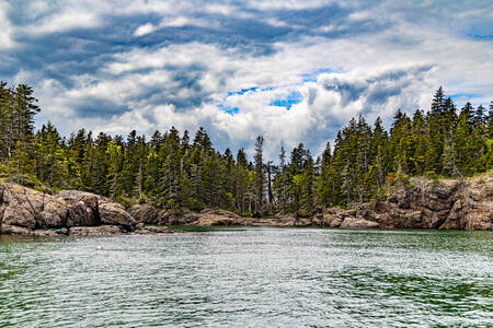De beboste Atlantische kust van New Brunswick in Canada canvas prints De beboste Atlantische kust van New Brunswick in Canada canvas prints