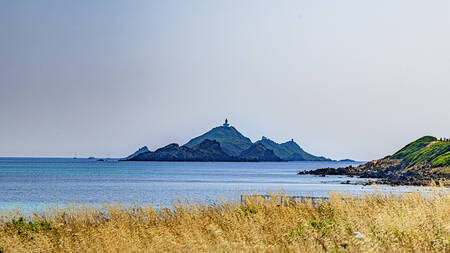 Poster De bloeddorstigen naar Ajaccio Poster De bloeddorstigen naar Ajaccio