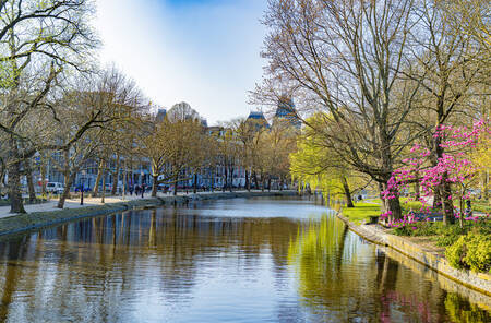 Lights and colors on Amsterdam's canals