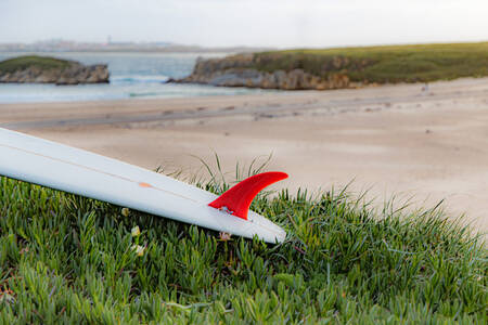 Sogni di surf Sogni di surf