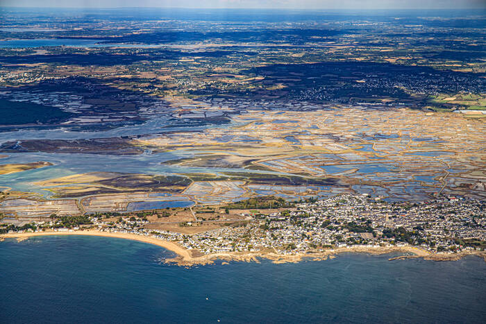 Vleermuizen op zee vanuit de lucht