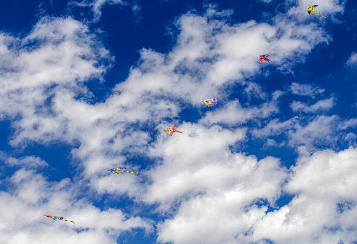 Kites and summer breezes