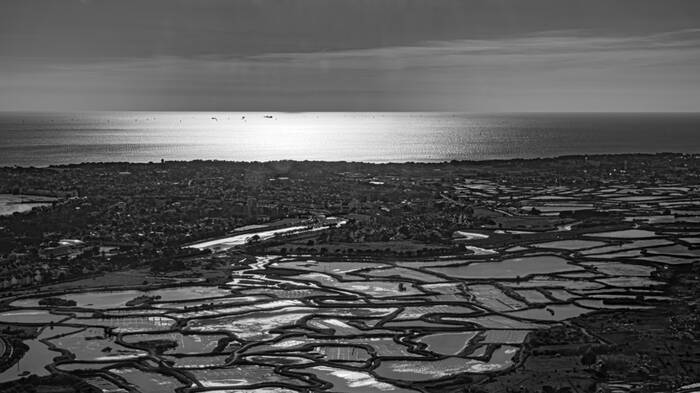 Kwelders van Guerande