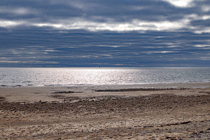 Chanchardon fyr Bois plage ile de Ré Chanchardon fyr Bois plage ile de Ré