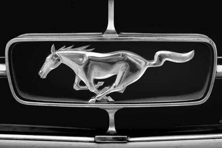 Sporen van Mustang Sporen van Mustang