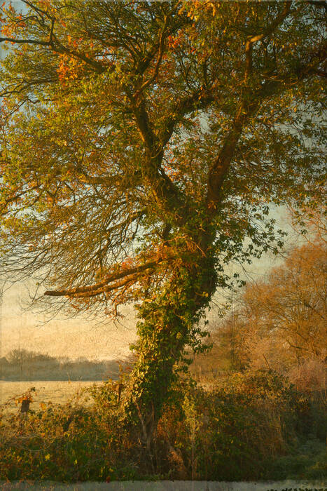 Le gardien d'automne Le gardien d'automne