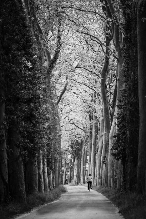 Sur la piste du Canal du Midi Sur la piste du Canal du Midi