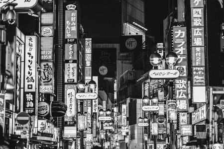 All of the lights II