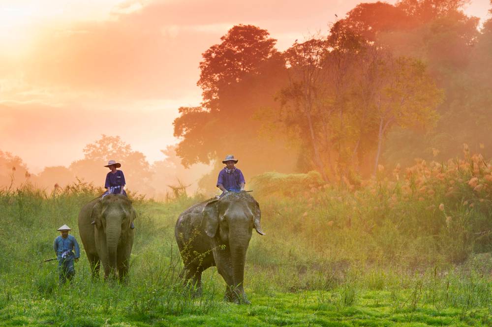 Elephant ride Photographic print for sale