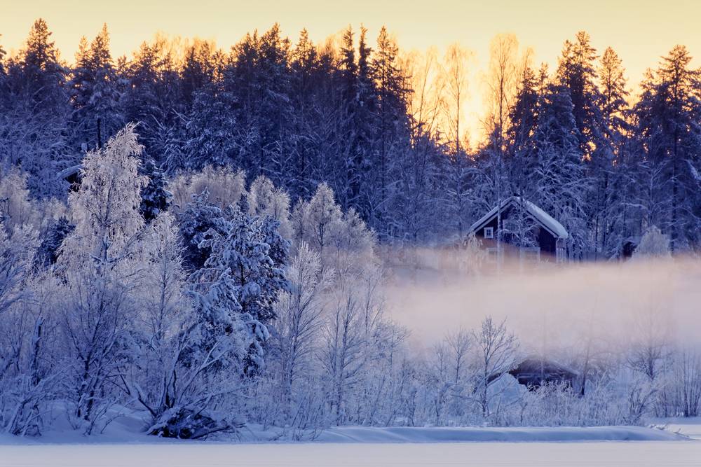 La foresta boreale vicino al fiume Lule