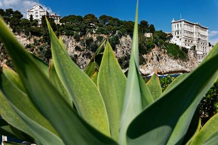 Oceanographic Museum of Monaco