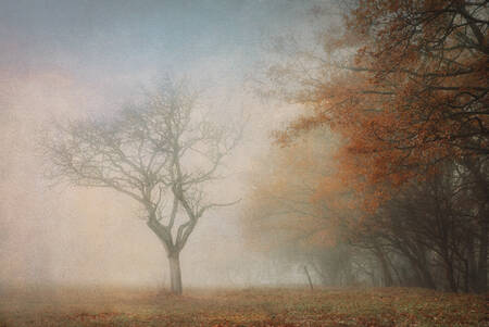 DIE FÜNFTE JAHRESZEIT 9