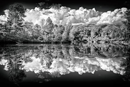 RIFLESSIONI SULLO STAGNO RIFLESSIONI SULLO STAGNO