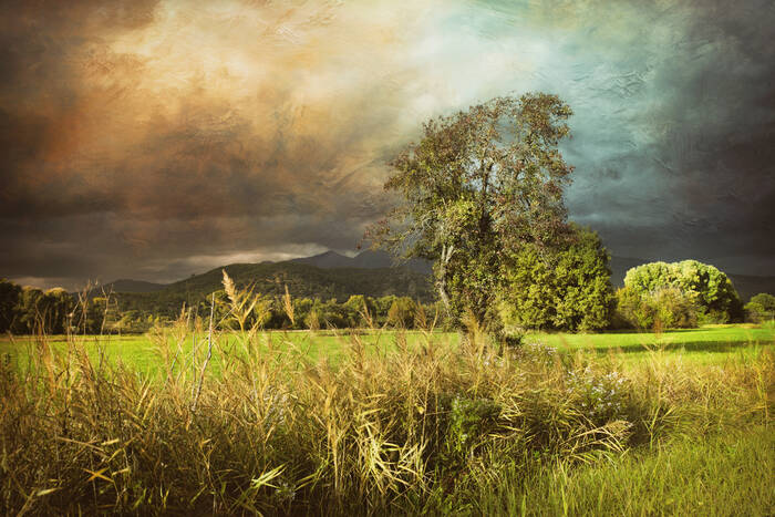 La Cinquième Saison - Automne La Cinquième Saison - Automne