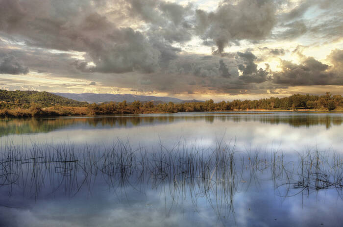 La cinquième saison - Étang La cinquième saison - Étang