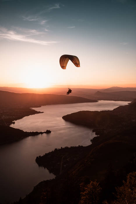 Avondvlieger Avondvlieger